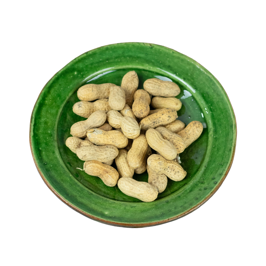Tamegroute Green Dinnerware Plates